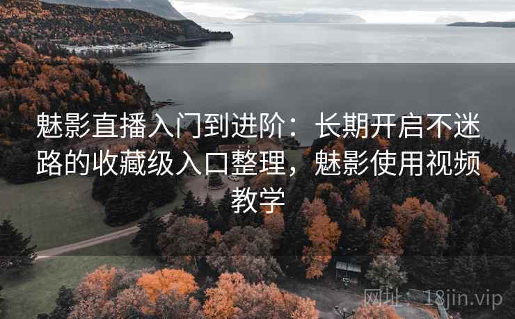 魅影直播入门到进阶：长期开启不迷路的收藏级入口整理，魅影使用视频教学