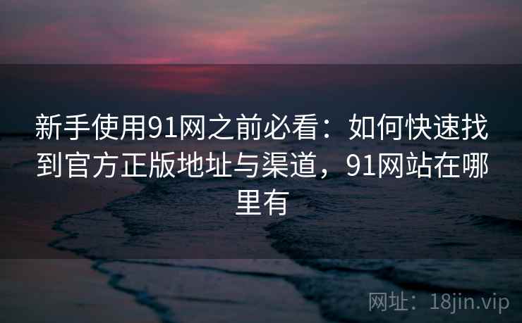 新手使用91网之前必看：如何快速找到官方正版地址与渠道，91网站在哪里有