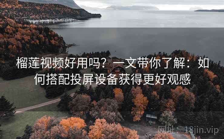 榴莲视频好用吗？一文带你了解：如何搭配投屏设备获得更好观感