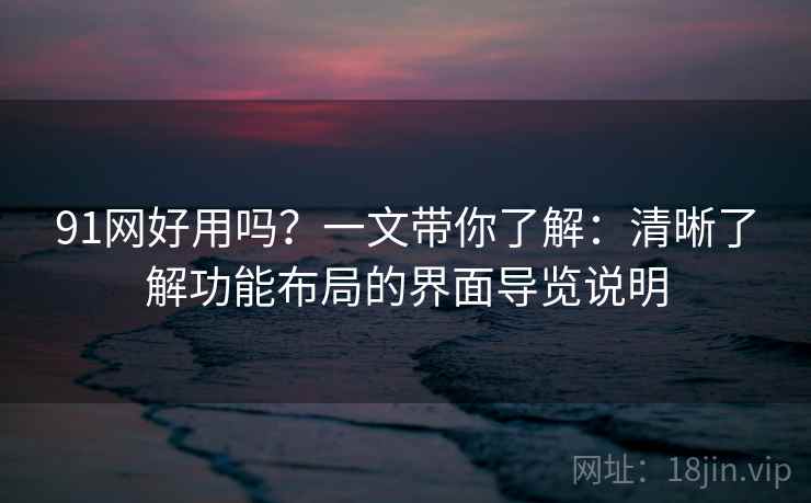 91网好用吗？一文带你了解：清晰了解功能布局的界面导览说明
