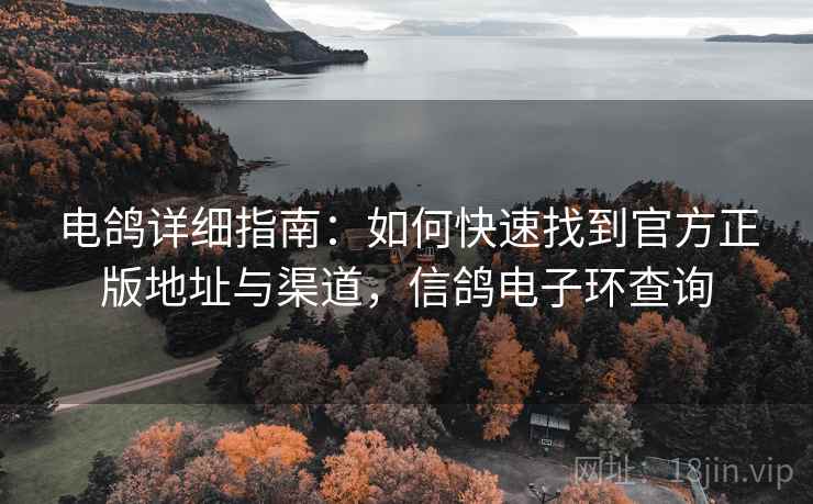 电鸽详细指南：如何快速找到官方正版地址与渠道，信鸽电子环查询