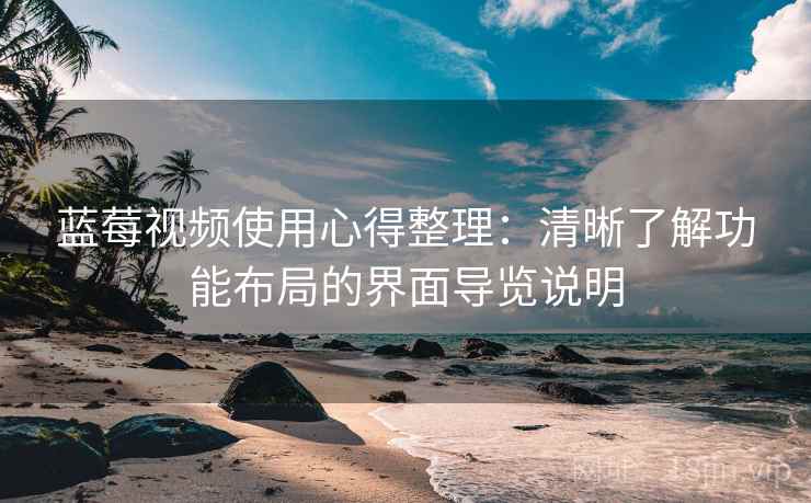 蓝莓视频使用心得整理：清晰了解功能布局的界面导览说明