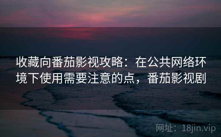 收藏向番茄影视攻略：在公共网络环境下使用需要注意的点，番茄影视剧