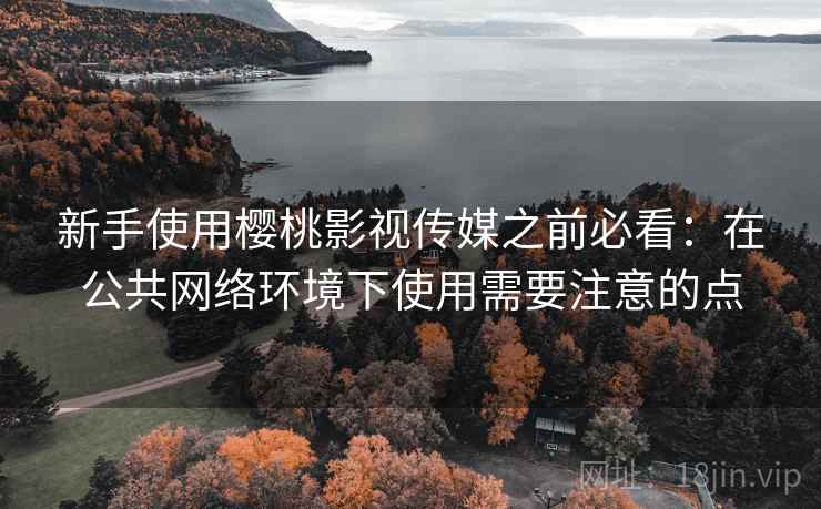 新手使用樱桃影视传媒之前必看：在公共网络环境下使用需要注意的点