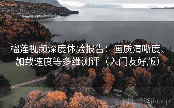 榴莲视频深度体验报告：画质清晰度、加载速度等多维测评（入门友好版）