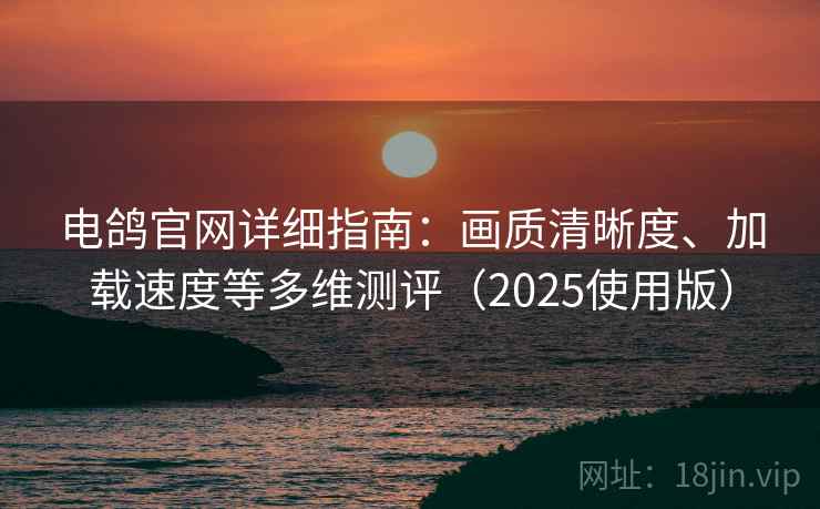电鸽官网详细指南：画质清晰度、加载速度等多维测评（2025使用版）