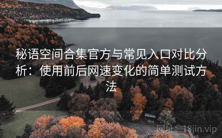 秘语空间合集官方与常见入口对比分析：使用前后网速变化的简单测试方法