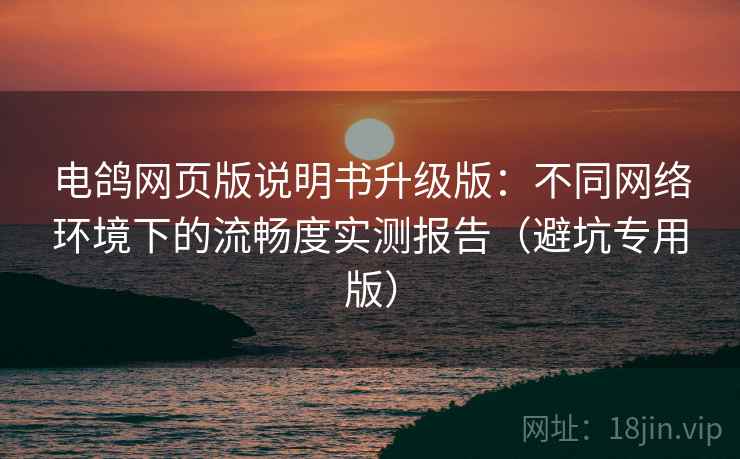 电鸽网页版说明书升级版：不同网络环境下的流畅度实测报告（避坑专用版）