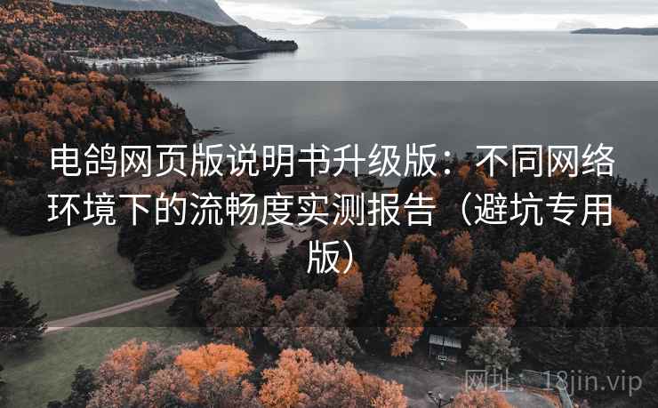 电鸽网页版说明书升级版：不同网络环境下的流畅度实测报告（避坑专用版）