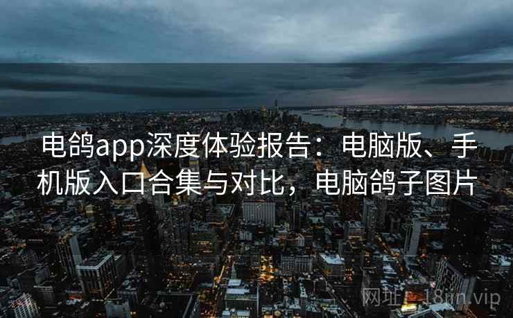 电鸽app深度体验报告：电脑版、手机版入口合集与对比，电脑鸽子图片