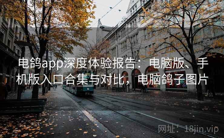 电鸽app深度体验报告:电脑版、手机版入口合集与对比,电脑鸽子图片 电鸽app深度体验报告:电脑版、手机版入口合集与对比,电脑鸽子图片