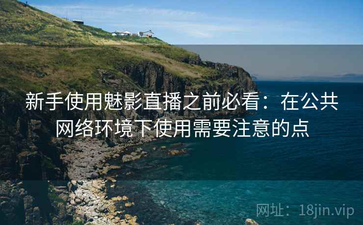 新手使用魅影直播之前必看:在公共网络环境下使用需要注意的点 新手使用魅影直播之前必看:在公共网络环境下使用需要注意的点