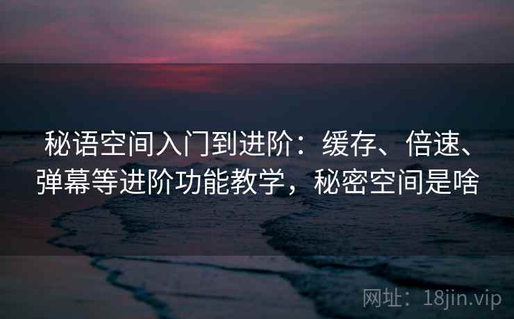 秘语空间入门到进阶：缓存、倍速、弹幕等进阶功能教学，秘密空间是啥